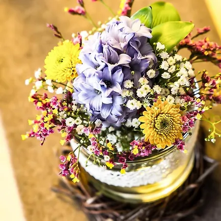 Bio-hotel Adler/restaurant Hotel