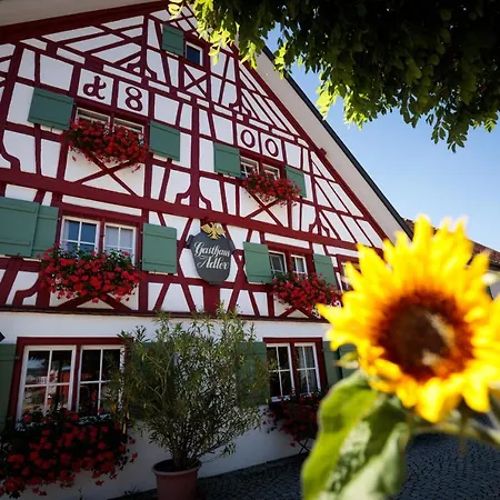 Bio-hotel Adler/restaurant 3* Vogt