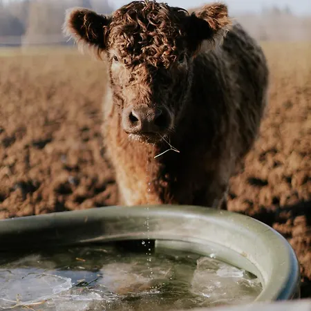 Bio-hotel Adler/restaurant Hotel 3*