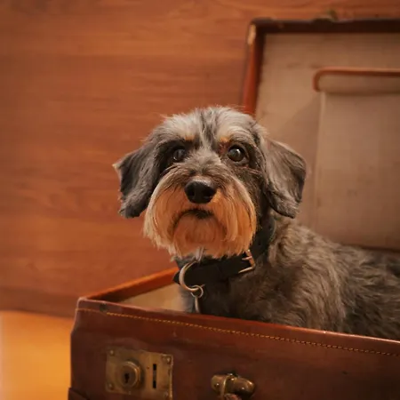 Bio-hotel Adler/restaurant 3*