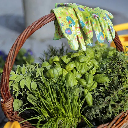 Hotel Bio-hotel Adler/restaurant 3*