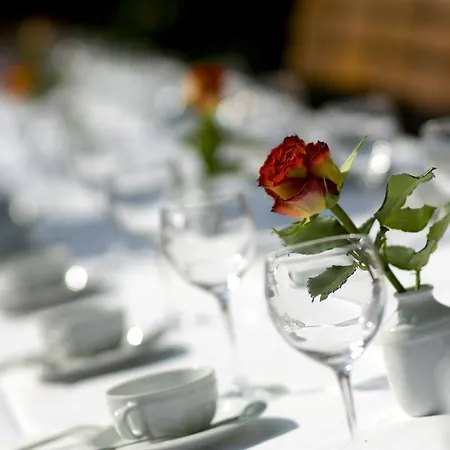 Bio-hotel Adler/restaurant 3* Vogt