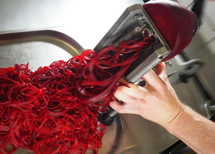 Bio-hotel Adler/restaurant 3* Vogt