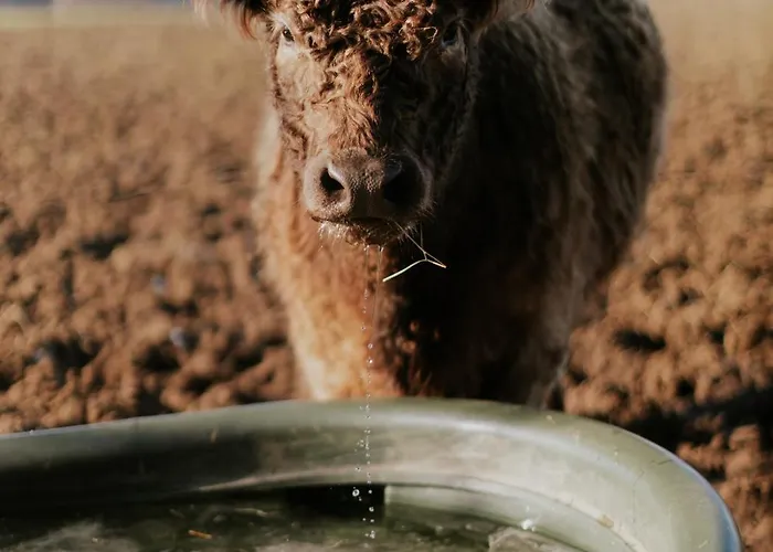 Bio-hotel Adler/restaurant Hotel 3*