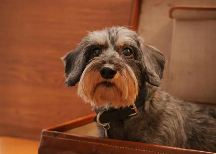 Bio-hotel Adler/restaurant 3*