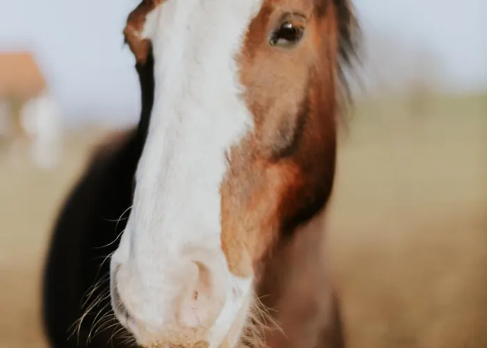 Bio-hotel Adler/restaurant Hotel Vogt