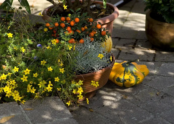 Bio-hotel Adler/restaurant 3* Vogt